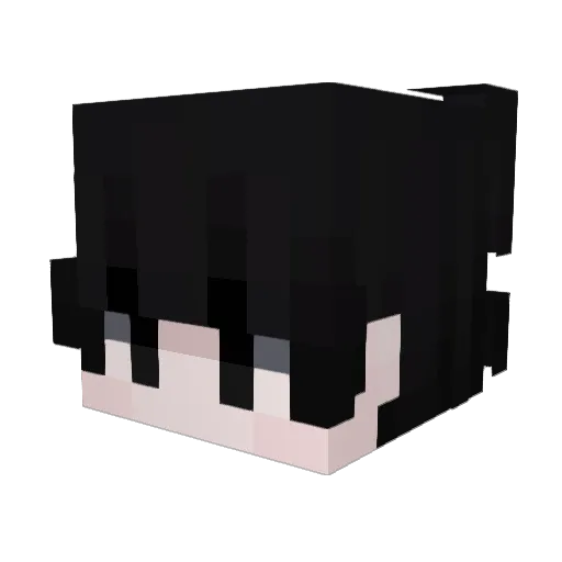 Subi2803 Minecraft avatar head, 3D render