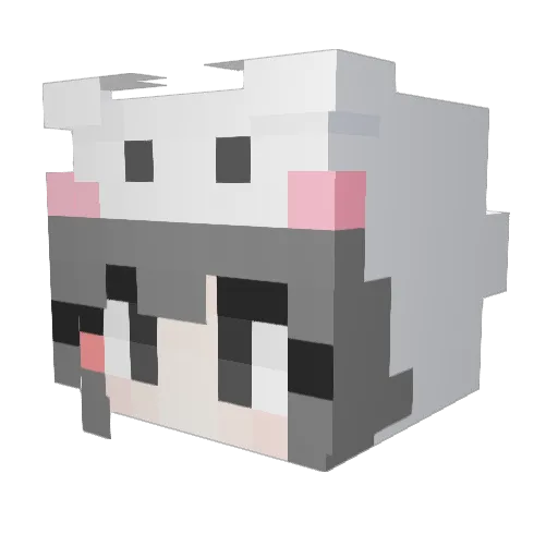 Subin030 Minecraft avatar head, 3D render