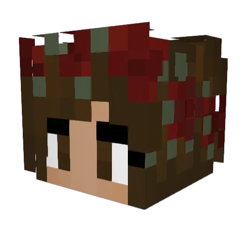 Subject_A5_ Minecraft avatar head, 3D render