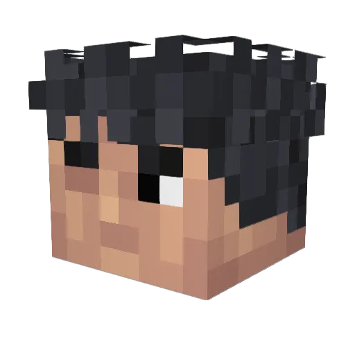 Subjecttrack555 Minecraft avatar head, 3D render