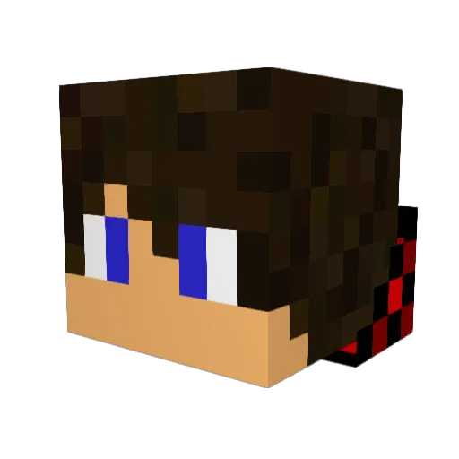 Sublimate_Taqen Minecraft avatar head, 3D render