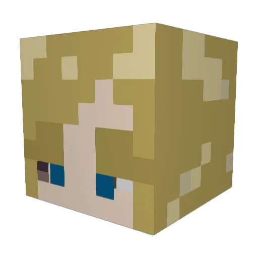 SublimeAcorn447 Minecraft avatar head, 3D render