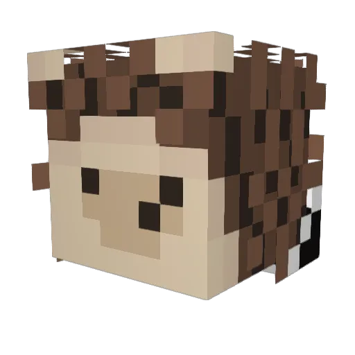 SublimeOwO Minecraft avatar head, 3D render