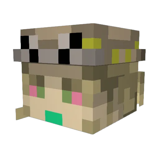 Sublimer Minecraft avatar head, 3D render