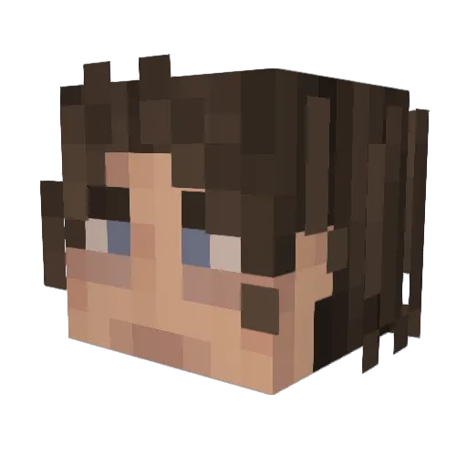 Subregion Minecraft avatar head, 3D render