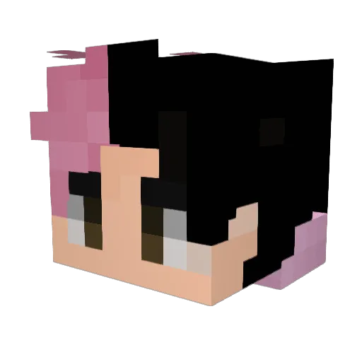 Subroc95 Minecraft avatar head, 3D render