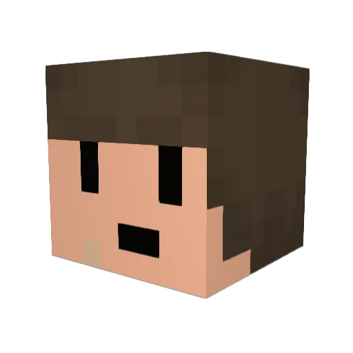Subsects Minecraft avatar head, 3D render