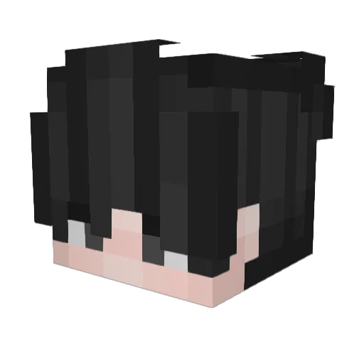 Subsidedabyss Minecraft avatar head, 3D render
