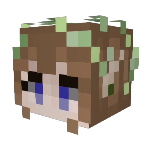 Subterraneangem Minecraft avatar head, 3D render