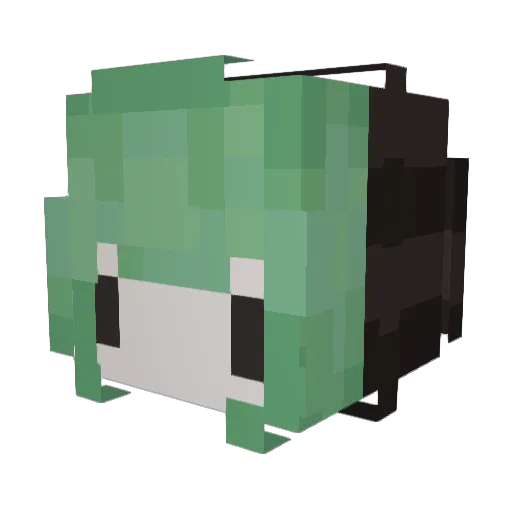 Suburb4nUrb4n Minecraft avatar head, 3D render