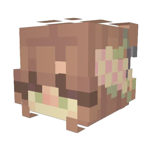 SuburbanFurret Minecraft avatar head, 3D render