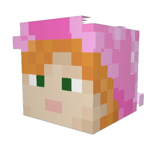 SuburbanTransfer Minecraft avatar head, 3D render