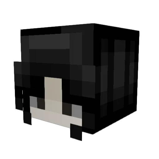 Suburban_Gypsy Minecraft avatar head, 3D render