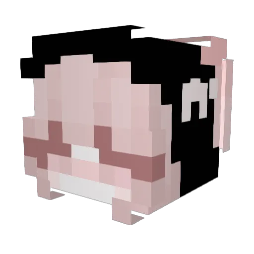 Subutexi Minecraft avatar head, 3D render