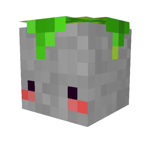 Subway_Worker23 Minecraft avatar head, 3D render