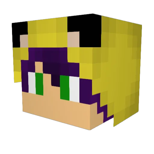 Subzeros14 Minecraft avatar head, 3D render