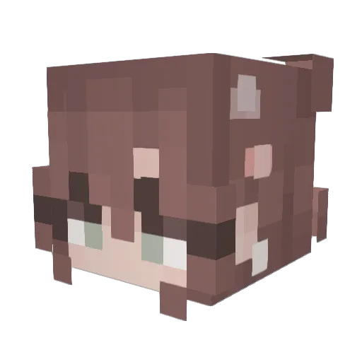 Sucbeel Minecraft avatar head, 3D render