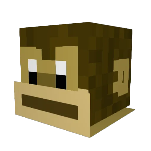 SuccBallz Minecraft avatar head, 3D render