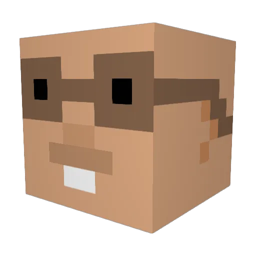 SuccJetty Minecraft avatar head, 3D render