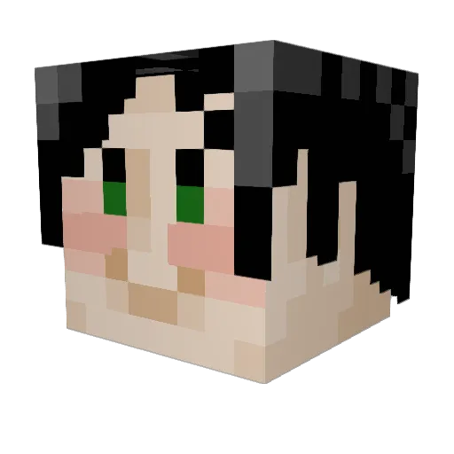 SuccMcJones Minecraft avatar head, 3D render