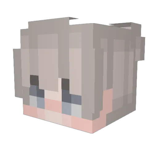 SuccMyToe Minecraft avatar head, 3D render