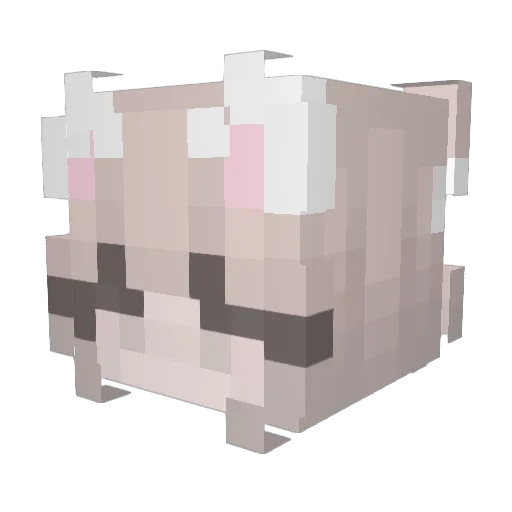 Succ_ Minecraft avatar head, 3D render
