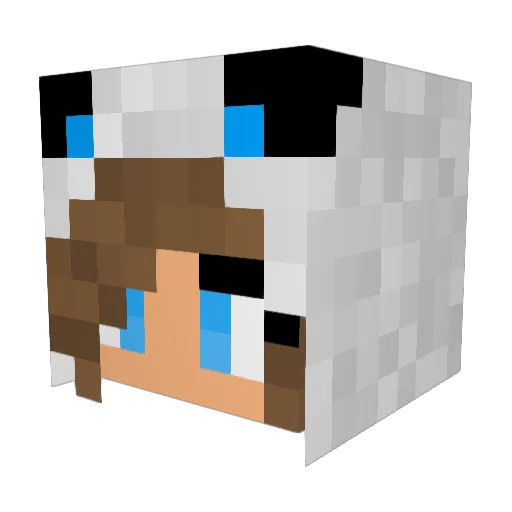 SuccabusQueen Minecraft avatar head, 3D render