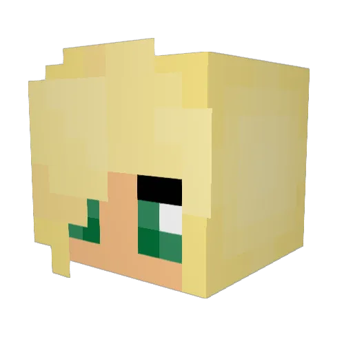 Succatron_ Minecraft avatar head, 3D render