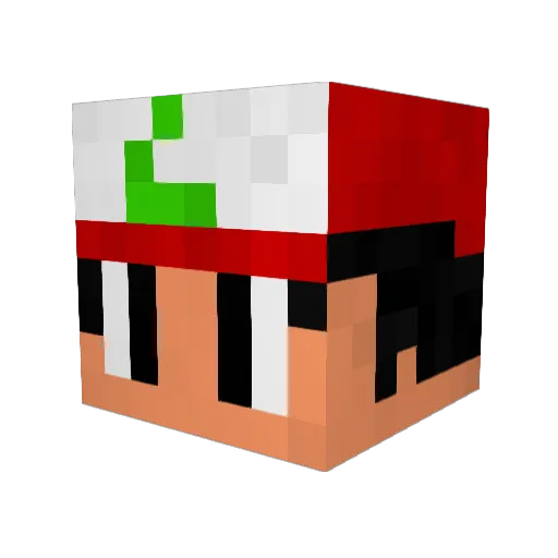Successful_Trol Minecraft avatar head, 3D render