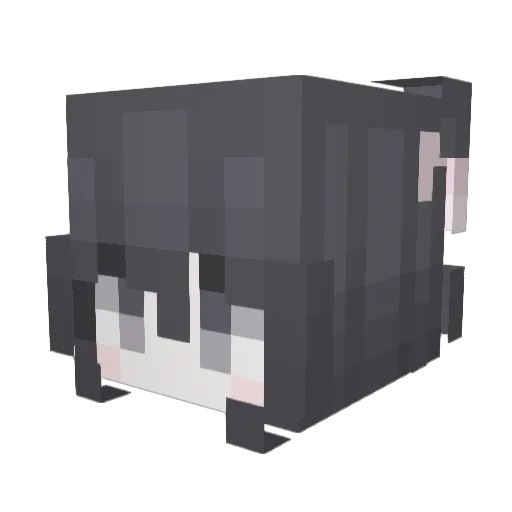Succory Minecraft avatar head, 3D render