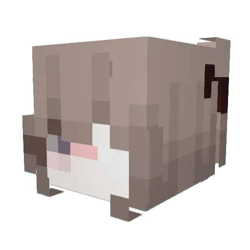 Succua Minecraft avatar head, 3D render