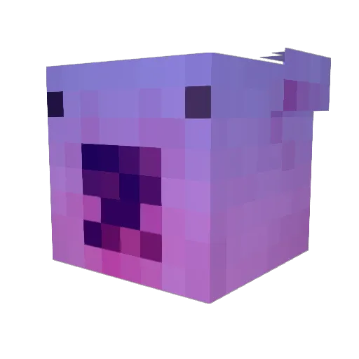 Succuba12 Minecraft avatar head, 3D render