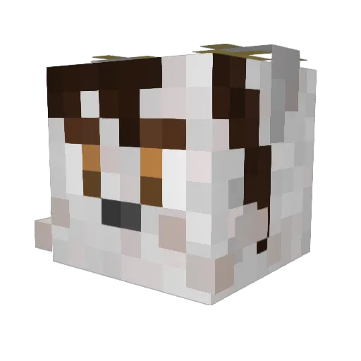 SucculentDragon Minecraft avatar head, 3D render