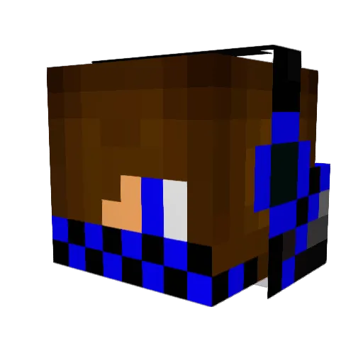 SuchAPug Minecraft avatar head, 3D render