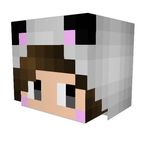 SuchLeo Minecraft avatar head, 3D render