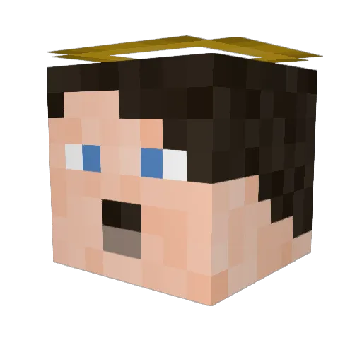 Suchenish Minecraft avatar head, 3D render
