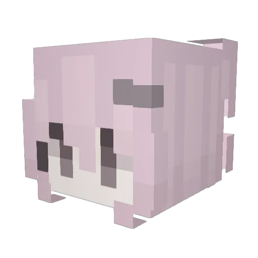 Sucie Minecraft avatar head, 3D render