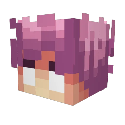Sudaca Minecraft avatar head, 3D render