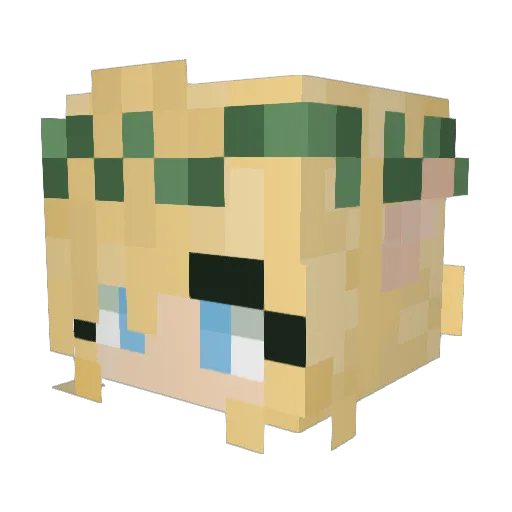 Suddenlilly Minecraft avatar head, 3D render