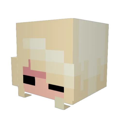 SuddenlySirell Minecraft avatar head, 3D render