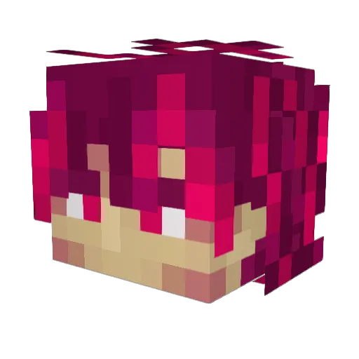 Sudokay Minecraft avatar head, 3D render