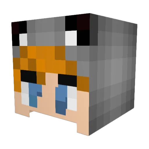 Sudsiiii Minecraft avatar head, 3D render