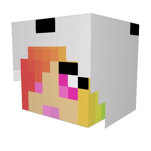 SudsyPanda Minecraft avatar head, 3D render