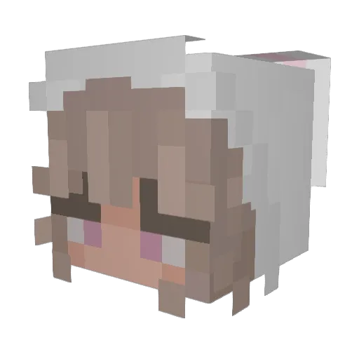 Sudsybat Minecraft avatar head, 3D render