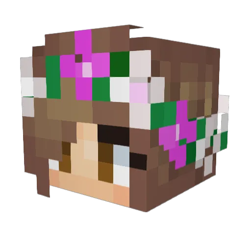SueJuan Minecraft avatar head, 3D render