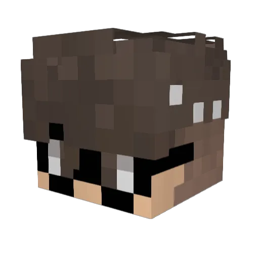 Sue_ballad Minecraft avatar head, 3D render