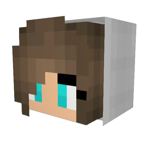 SuedaGunes3 Minecraft avatar head, 3D render