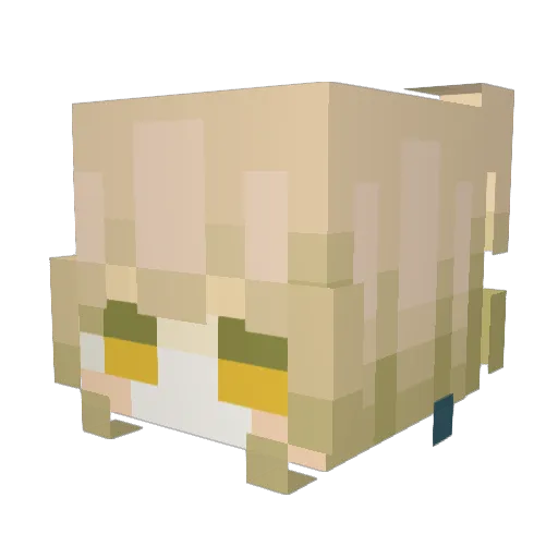Suexo Minecraft avatar head, 3D render