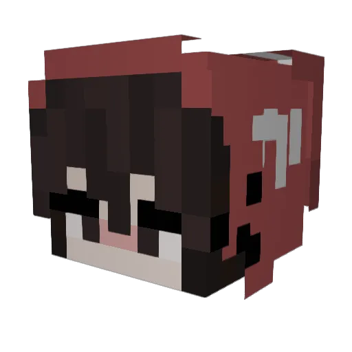 Suffertimeless Minecraft avatar head, 3D render