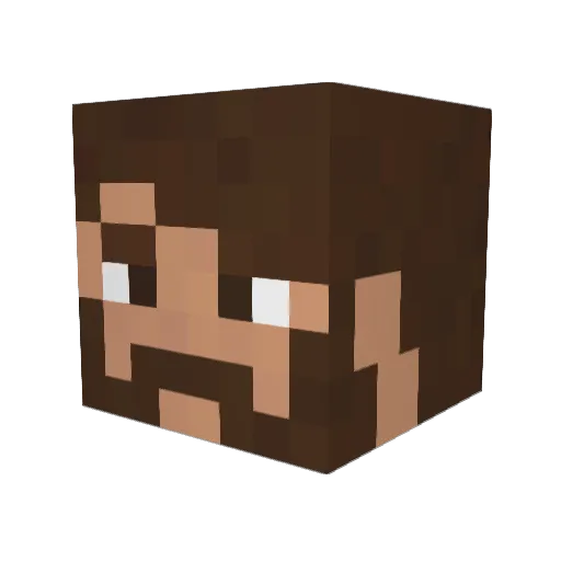 SufficientForMe Minecraft avatar head, 3D render